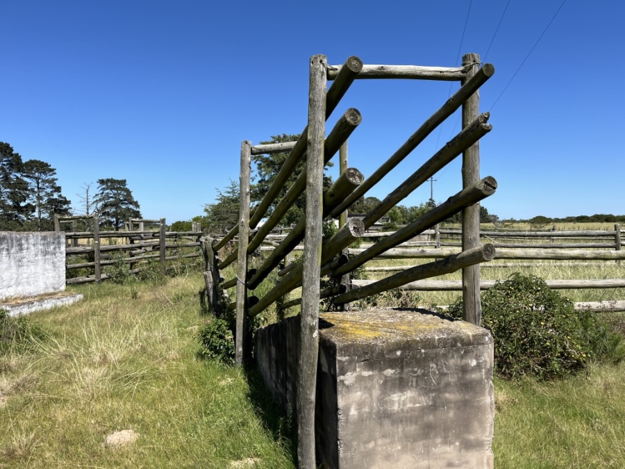 Commercial Property for Sale in Bathurst Rural Eastern Cape